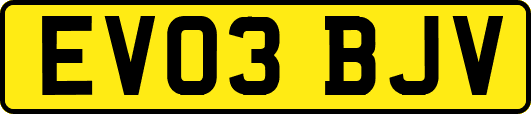 EV03BJV