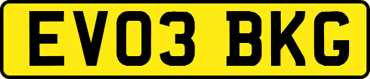 EV03BKG