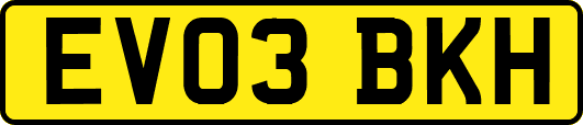 EV03BKH