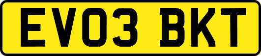 EV03BKT
