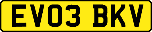 EV03BKV