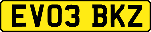 EV03BKZ