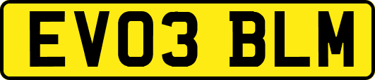 EV03BLM