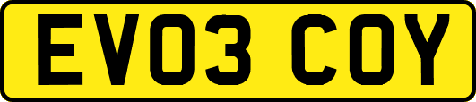 EV03COY