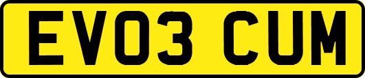 EV03CUM