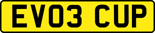 EV03CUP
