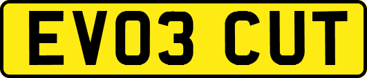EV03CUT