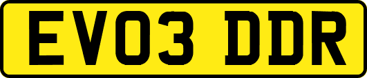 EV03DDR