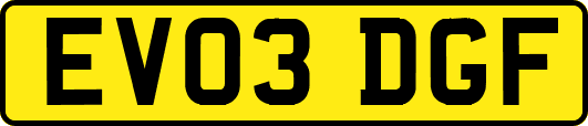 EV03DGF