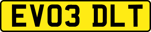EV03DLT