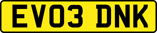 EV03DNK
