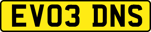 EV03DNS