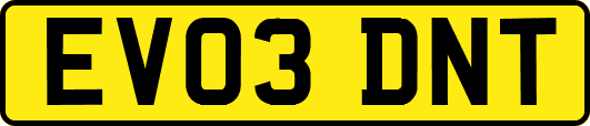EV03DNT