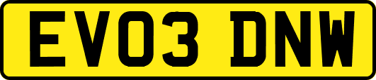 EV03DNW
