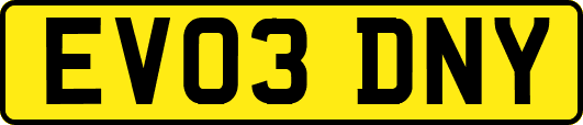EV03DNY