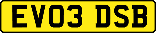 EV03DSB