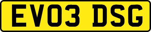 EV03DSG