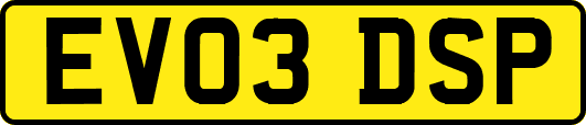 EV03DSP