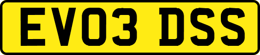 EV03DSS