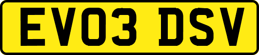 EV03DSV