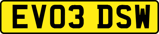 EV03DSW