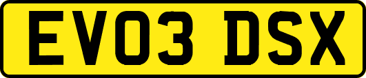 EV03DSX