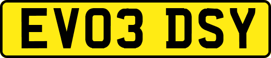 EV03DSY