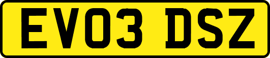 EV03DSZ