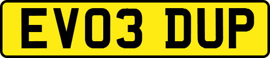 EV03DUP