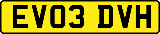 EV03DVH