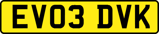 EV03DVK