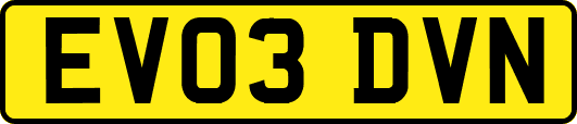EV03DVN