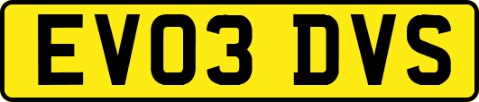 EV03DVS