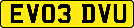 EV03DVU