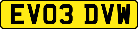 EV03DVW