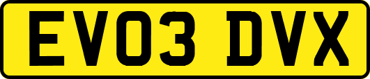 EV03DVX