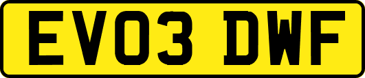 EV03DWF