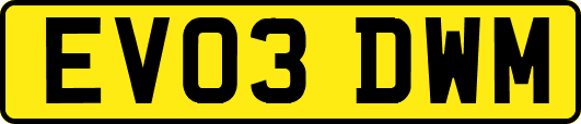 EV03DWM
