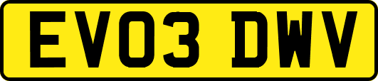 EV03DWV