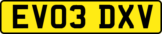 EV03DXV