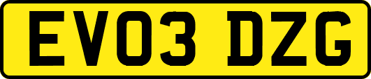 EV03DZG