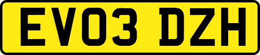 EV03DZH