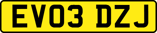 EV03DZJ