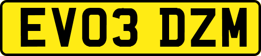 EV03DZM