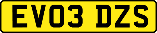 EV03DZS