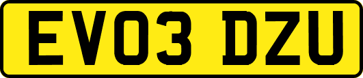 EV03DZU