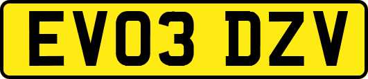 EV03DZV