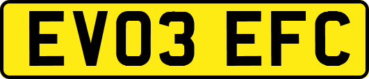 EV03EFC