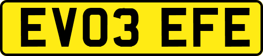 EV03EFE