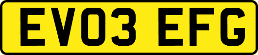 EV03EFG